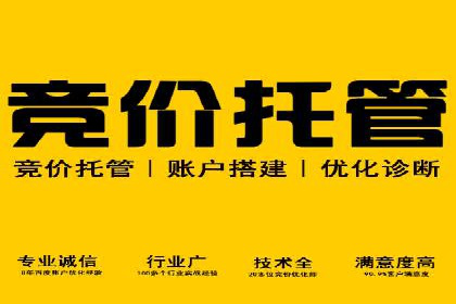 某行业sem竞价托管成功案例：精准投放的秘诀